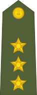 Captain